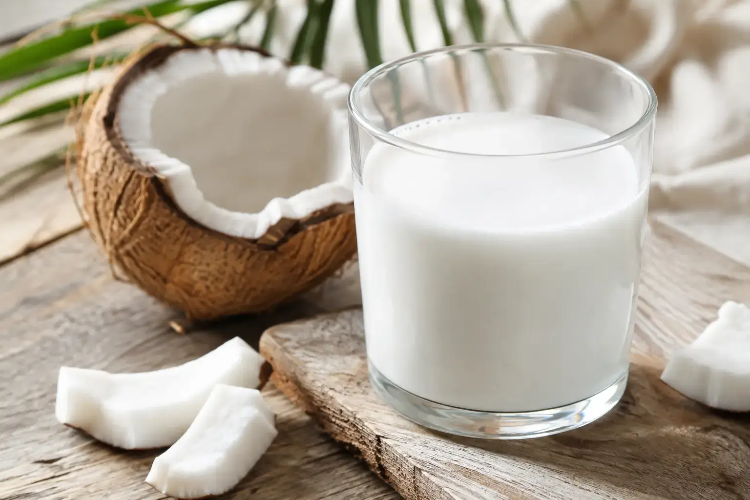 Leite de Coco Natural Caseiro